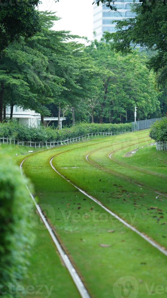 The tram view with the green trees and iron trail in the city photo