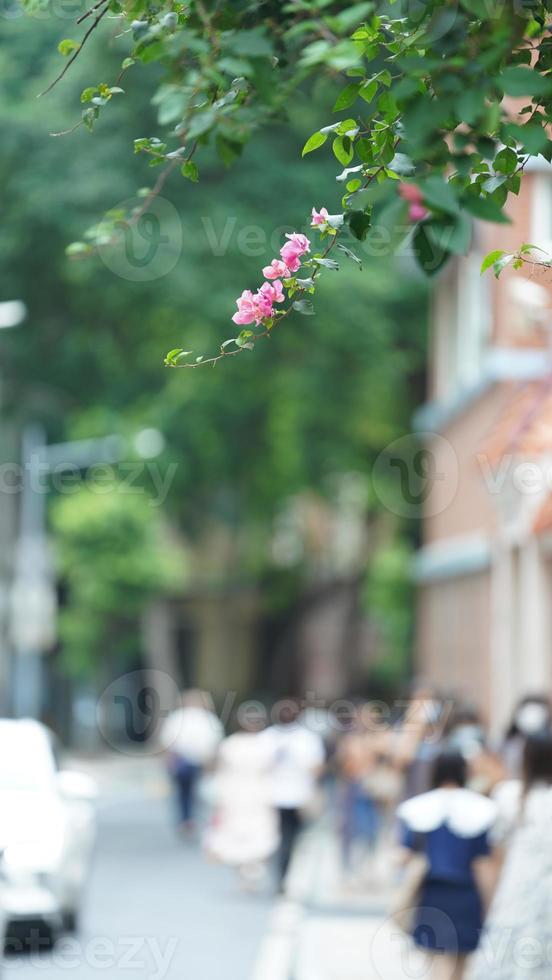 The city street view with the travelling people in the city in summer photo