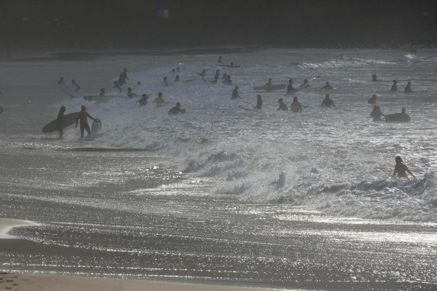 young athletes practising the water sport of surfing photo