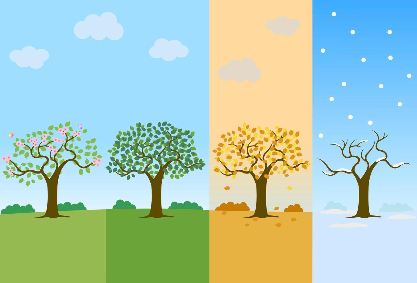 árbol en cuatro estaciones de año primavera, verano, caer, otoño y invierno temporada vector ilustración. paisaje de el cuatro estaciones paisaje colocar. mano dibujado dibujos animados plano diseño.