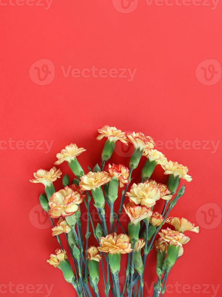 Bouquet of orange carnations on red paper background in bottom of vertical image. Holidays greeting card with place for text. photo