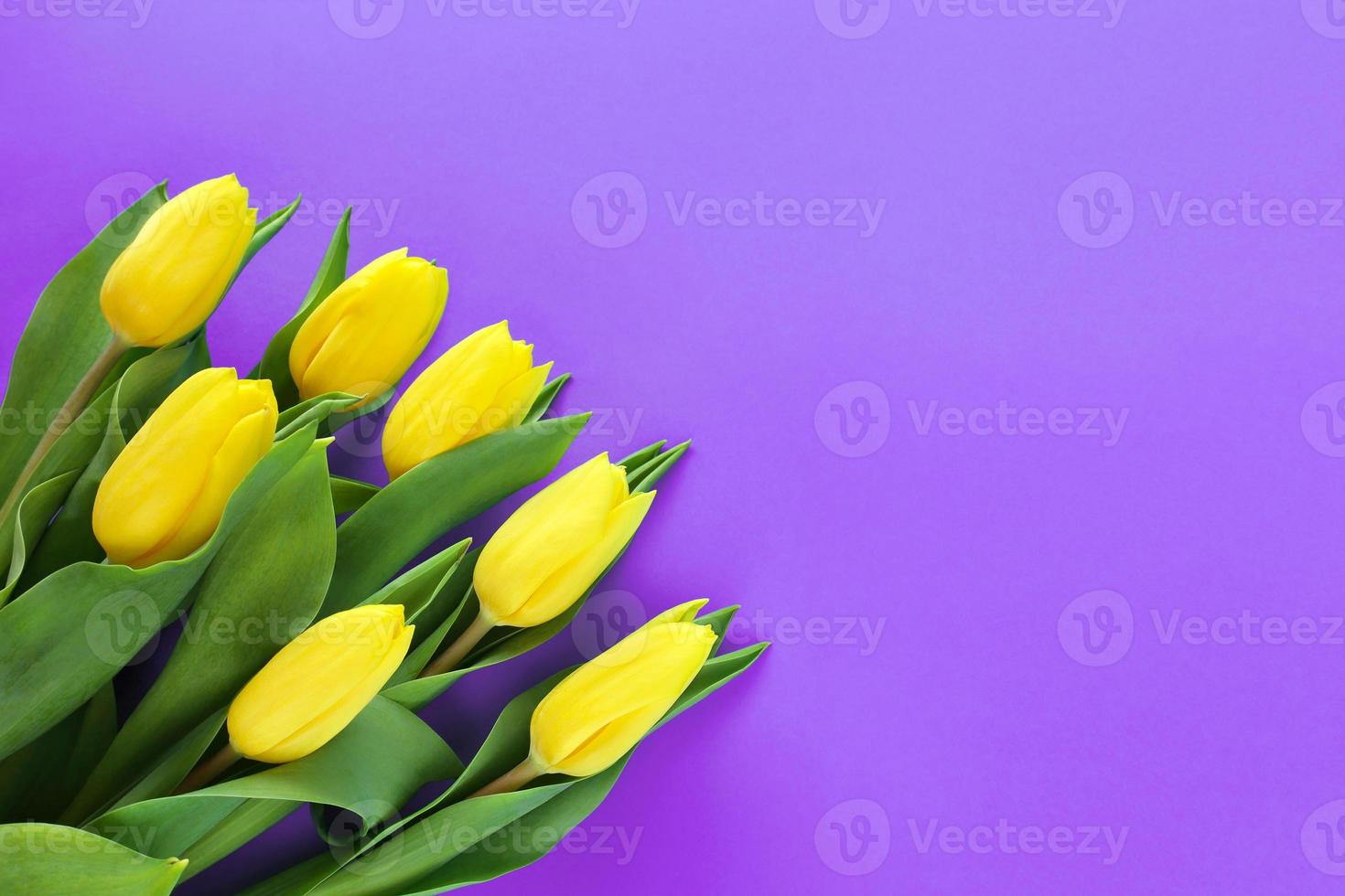 Bouquet of seven yellow tulips with green leaves in bottom left corner on violet paper background. Very peri trendy color. Greetings card for springtime holidays with copy space. photo