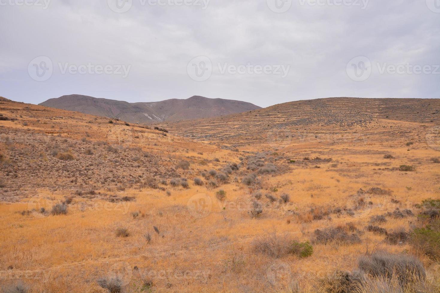 Scenic rural landscape photo