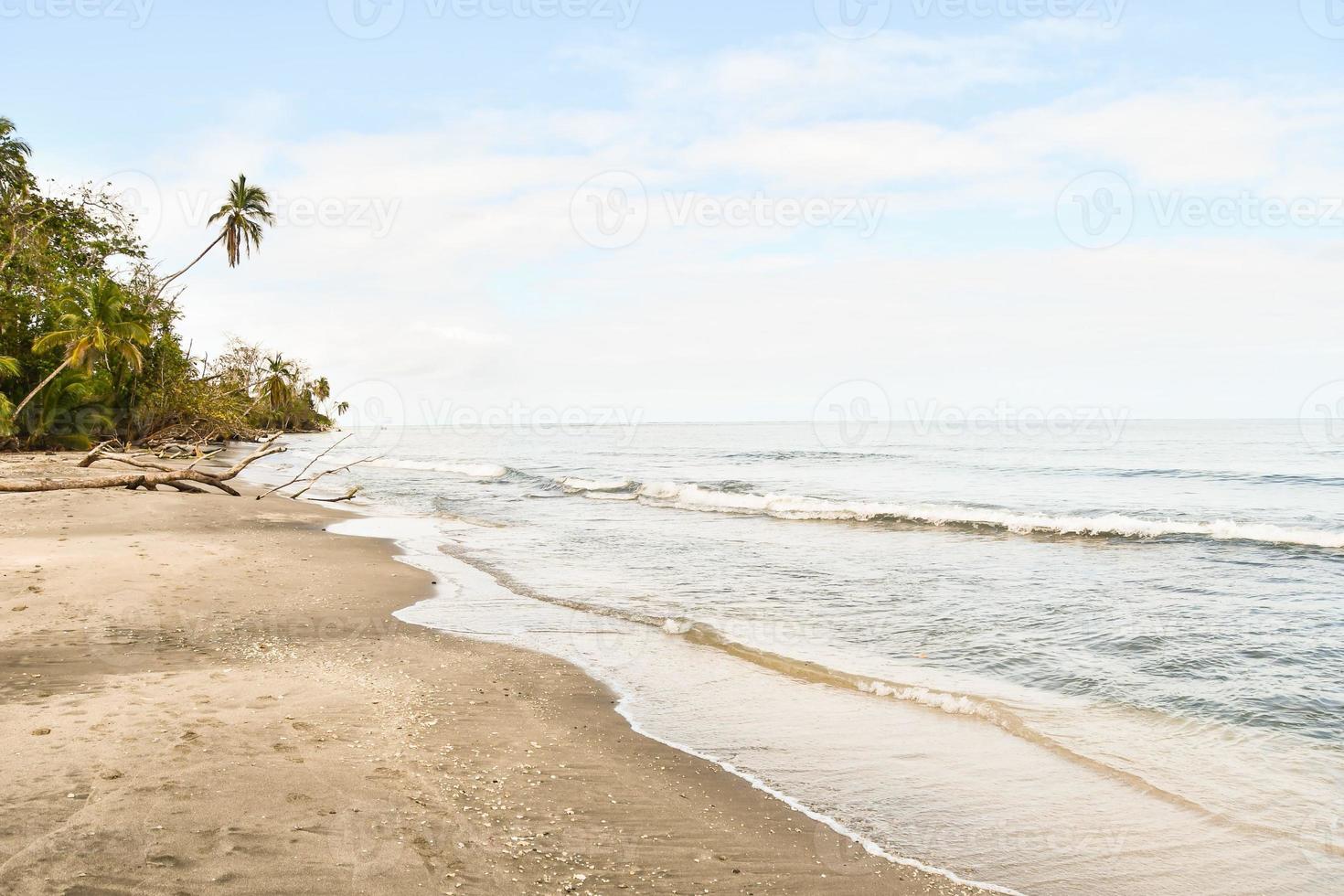 Scenic coastal view photo