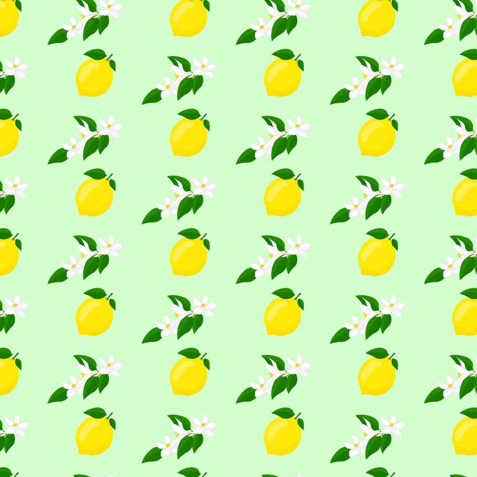 Branch of lemon with  flowers and lemon pattern. For posters, logos, labels, banners, stickers, product packaging design, etc. Vector illustration