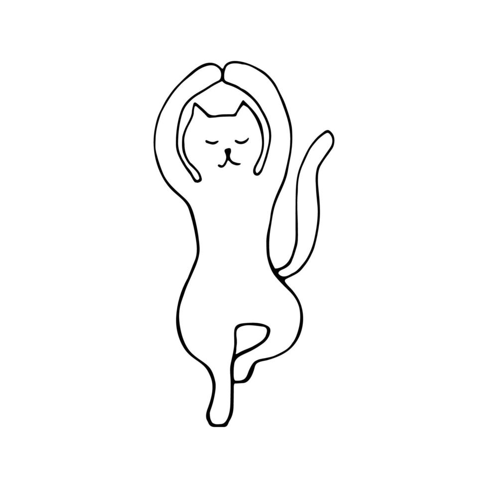 Adorable hand drawn cat sitting in yoga pose. Isolated on white background drawing for textile prints, child poster, cute stationery. vector