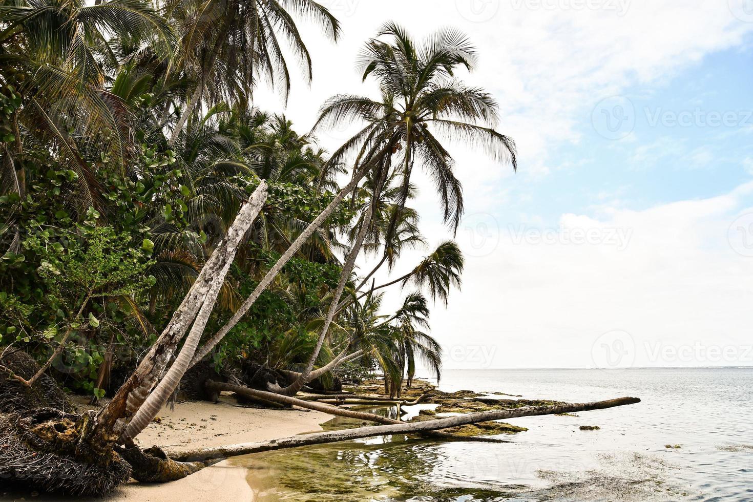 Scenic coastal view photo