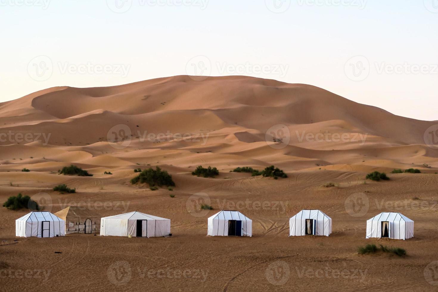 Scenic desert landscape photo