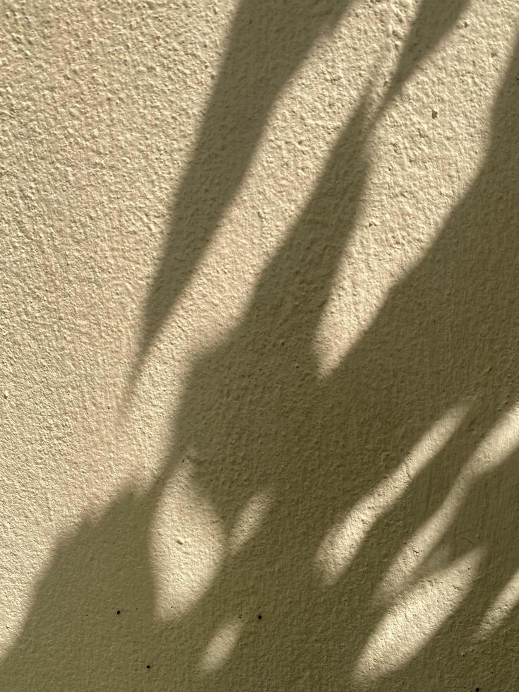 Leaves shadow background on concrete wall texture, leaves tree branches shade with sunlight photo