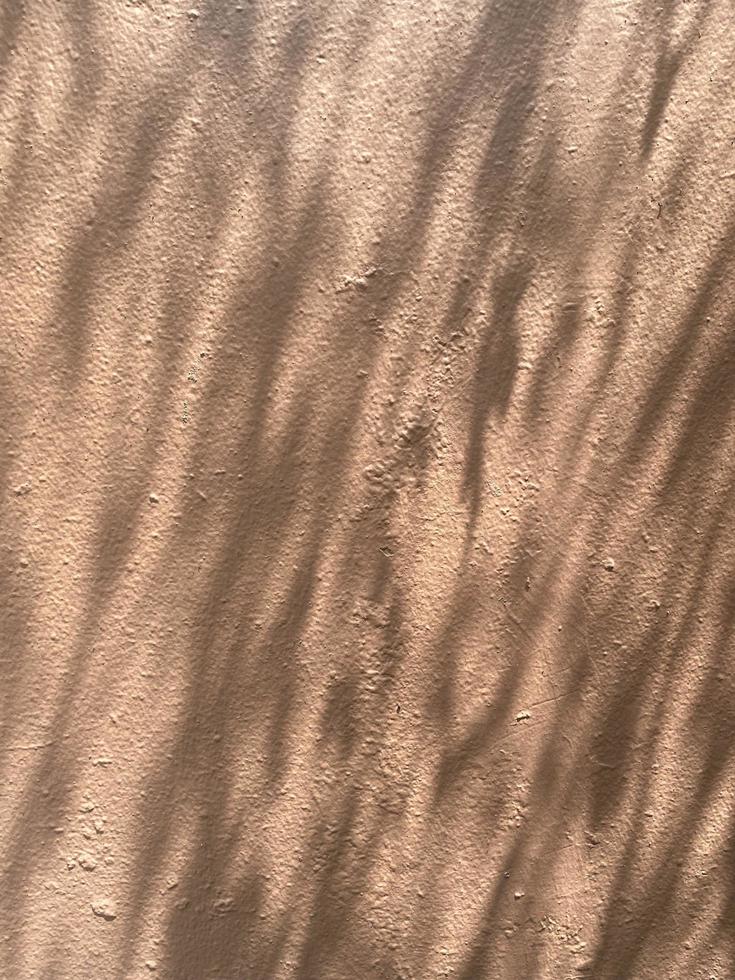 Leaves shadow background on concrete wall texture, leaves tree branches shade with sunlight photo