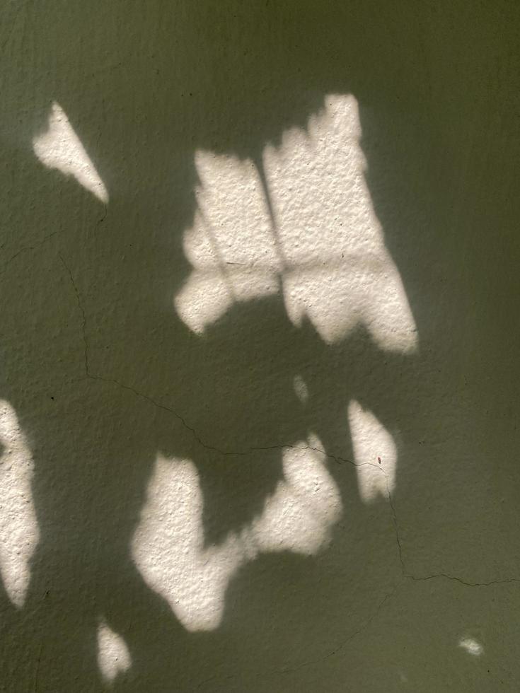 Leaves shadow background on concrete wall texture, leaves tree branches shade with sunlight photo