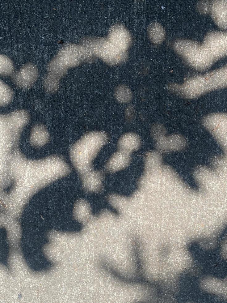 Leaves shadow background on concrete wall texture, leaves tree branches shade with sunlight photo