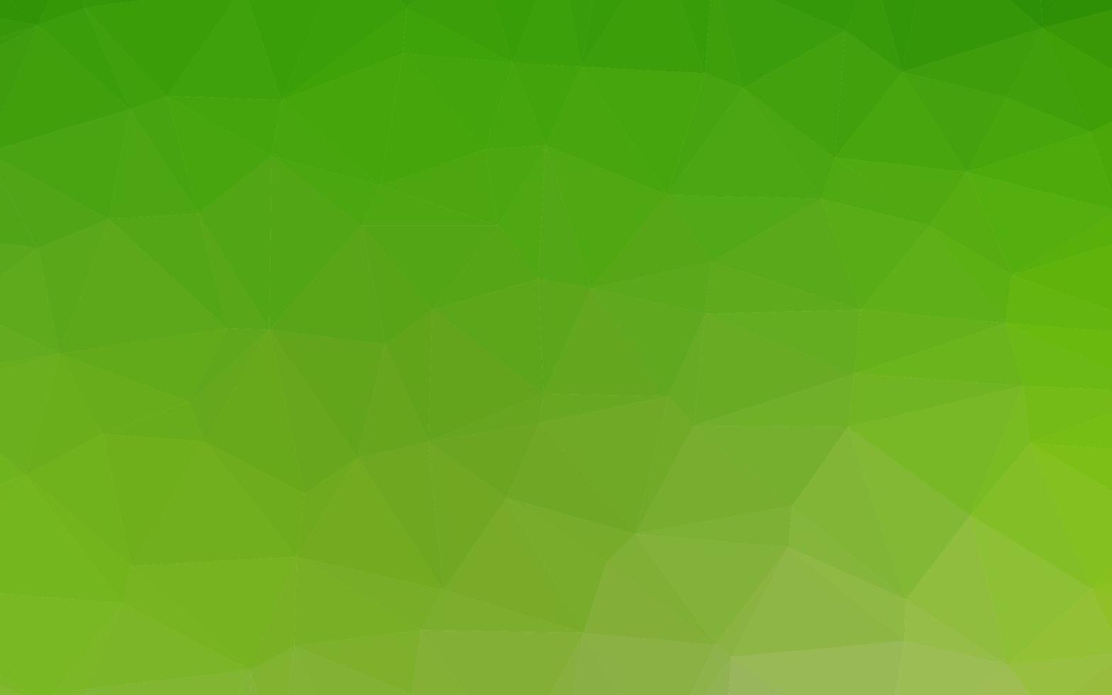 Light Green vector polygon abstract layout.