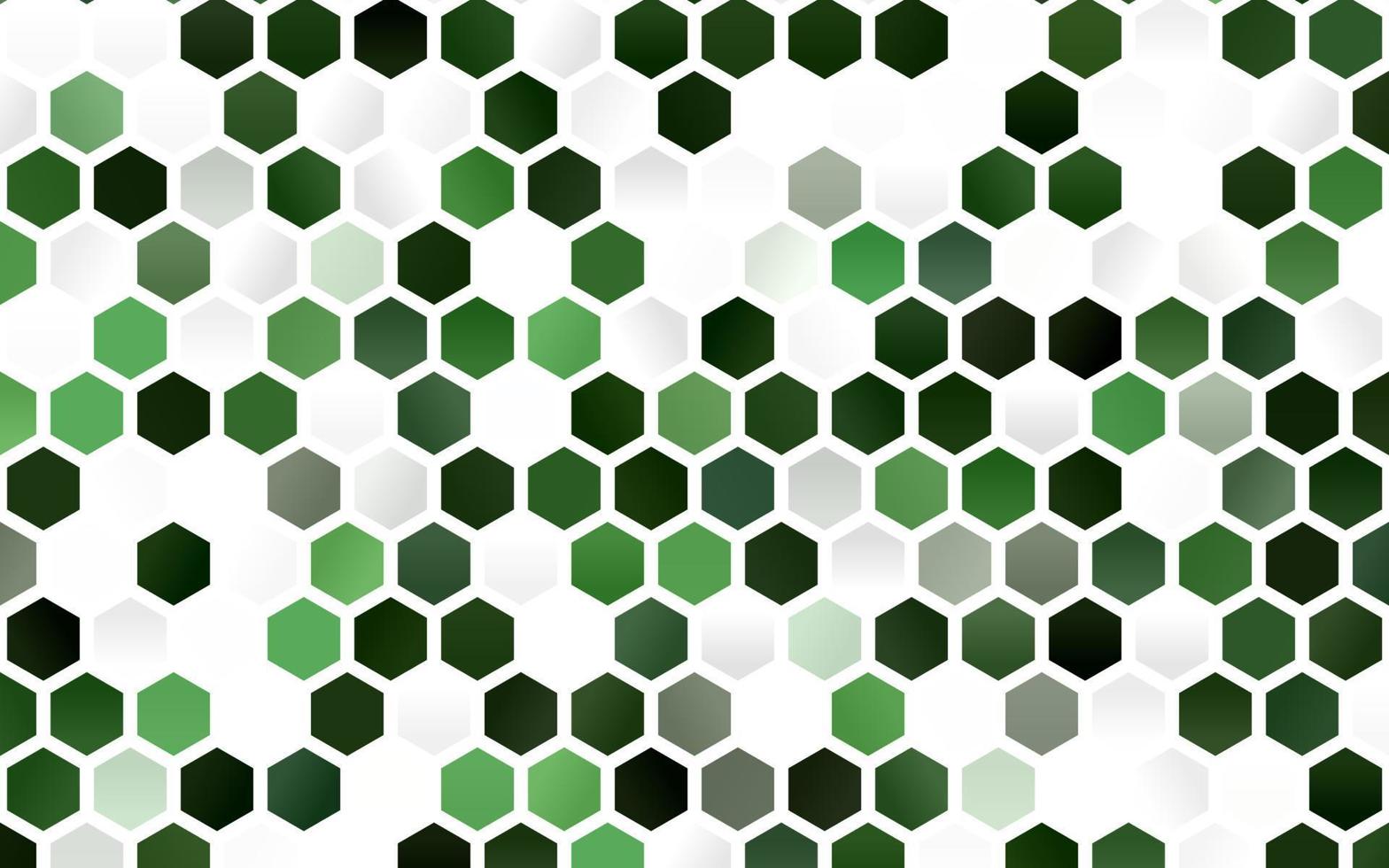 Telón de fondo de vector verde claro con hexágonos.
