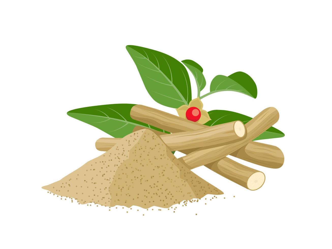 Vector illustration of Ashwagandha or Withania somnifera, also known as Indian ginseng, isolated on white background.