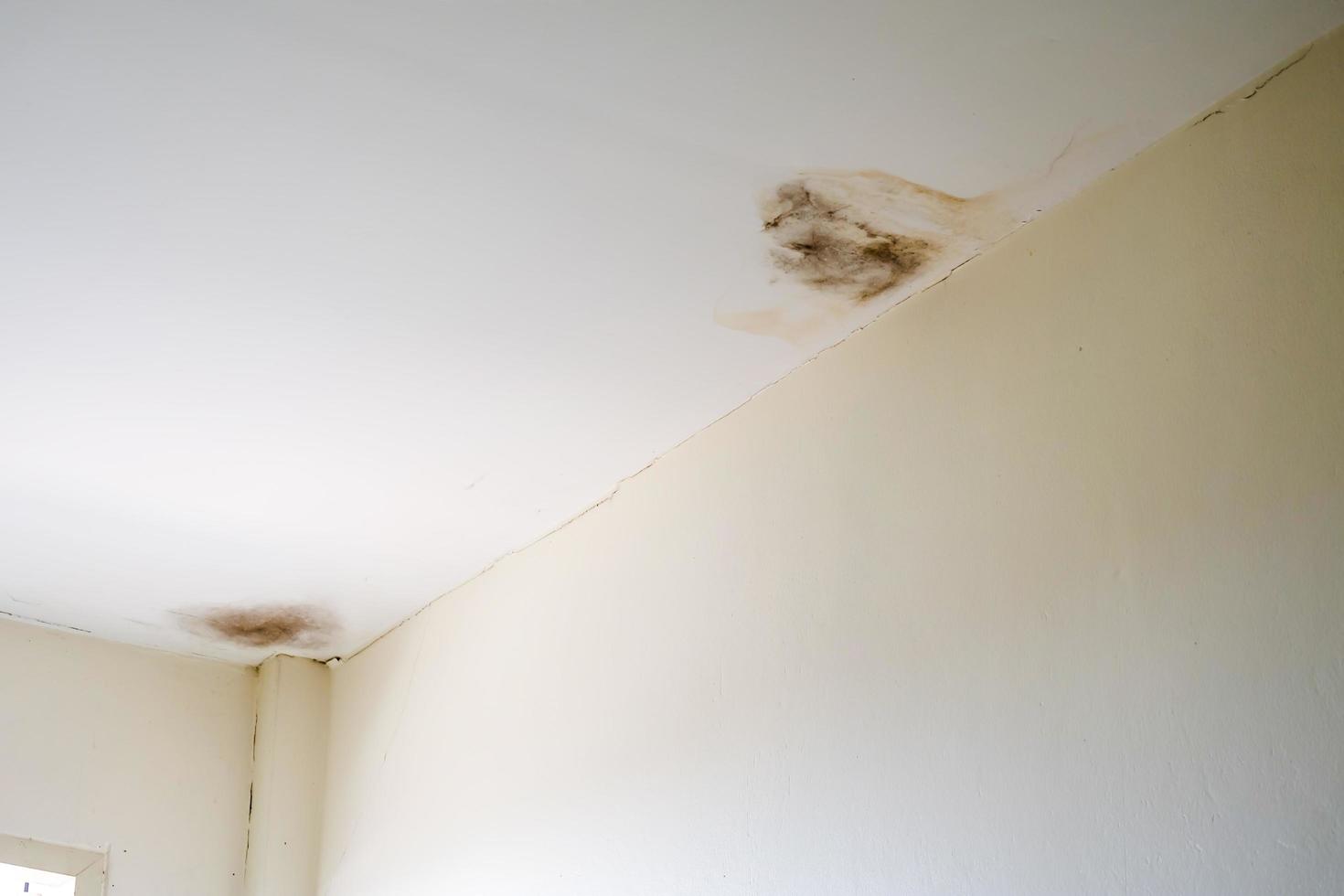 Water damaged ceiling roof, brown stain, office building photo