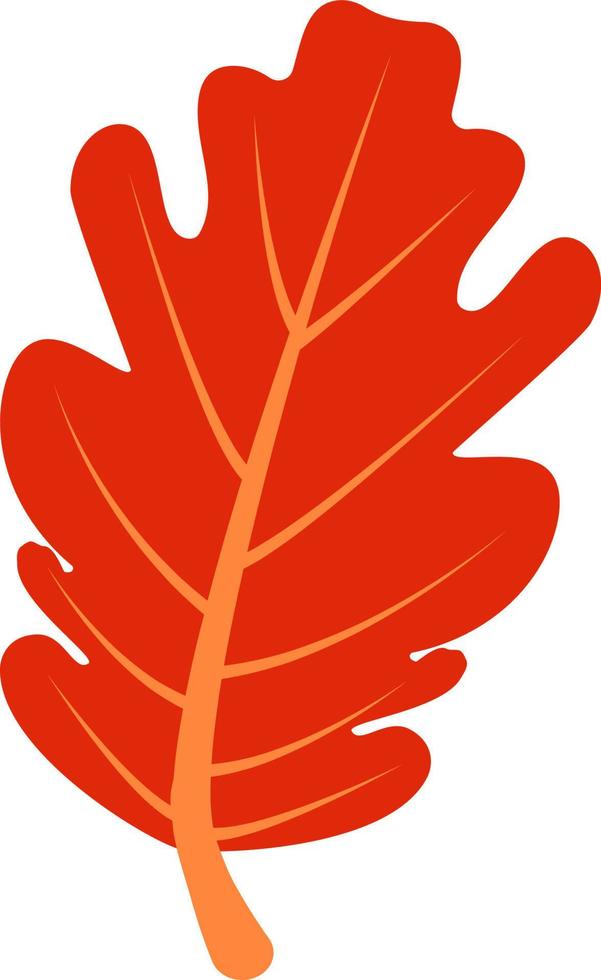 Maple Leaf Flat Icon On White Background. vector