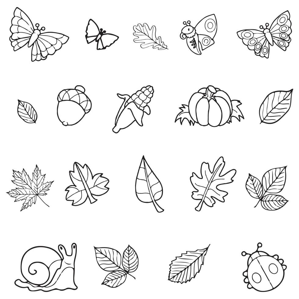 línea Arte de otoño hojas, insecto, y frutas adecuado para colorante libro y colorante paginas vector