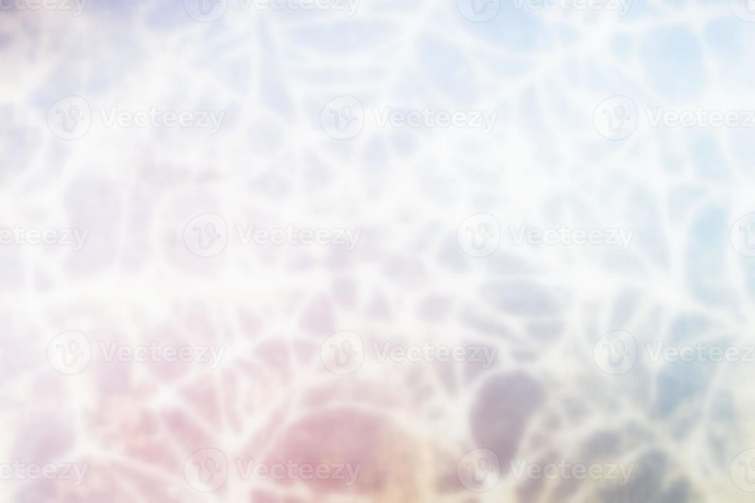 Blurred White Spider Web Texture Background. photo