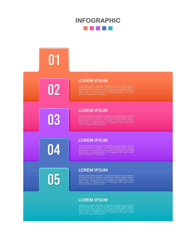 Infographic 5 steps or options vertical. Vector illustration.