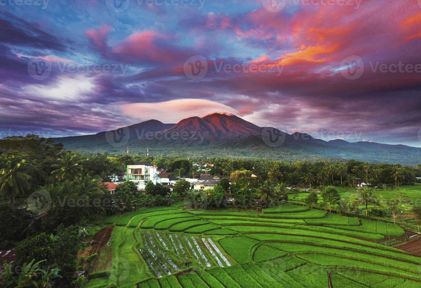 Beautiful morning view indonesia. Panorama Landscape paddy fields with beauty color and sky natural light photo