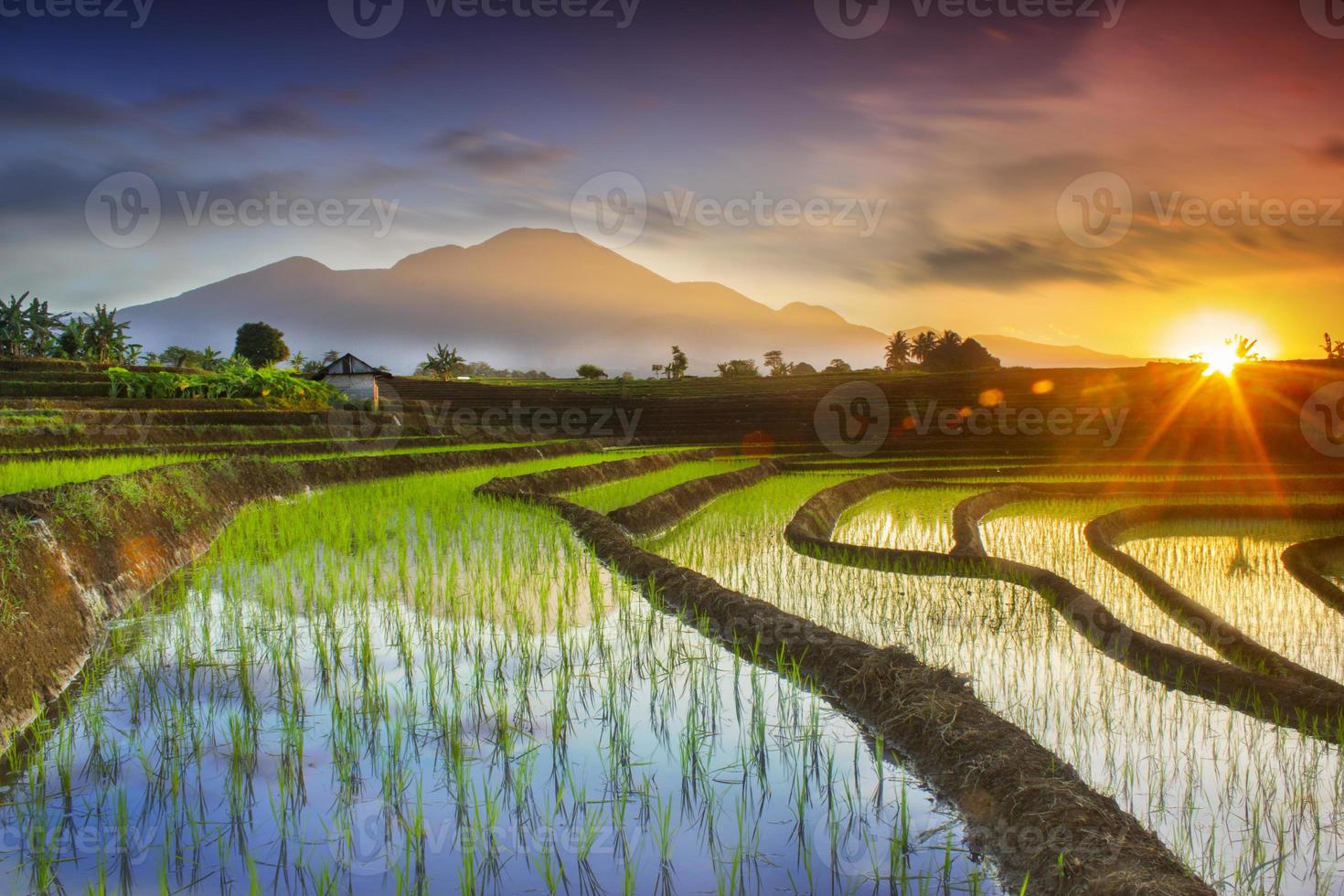 Beautiful morning view indonesia. Panorama Landscape paddy fields with beauty color and sky natural light photo