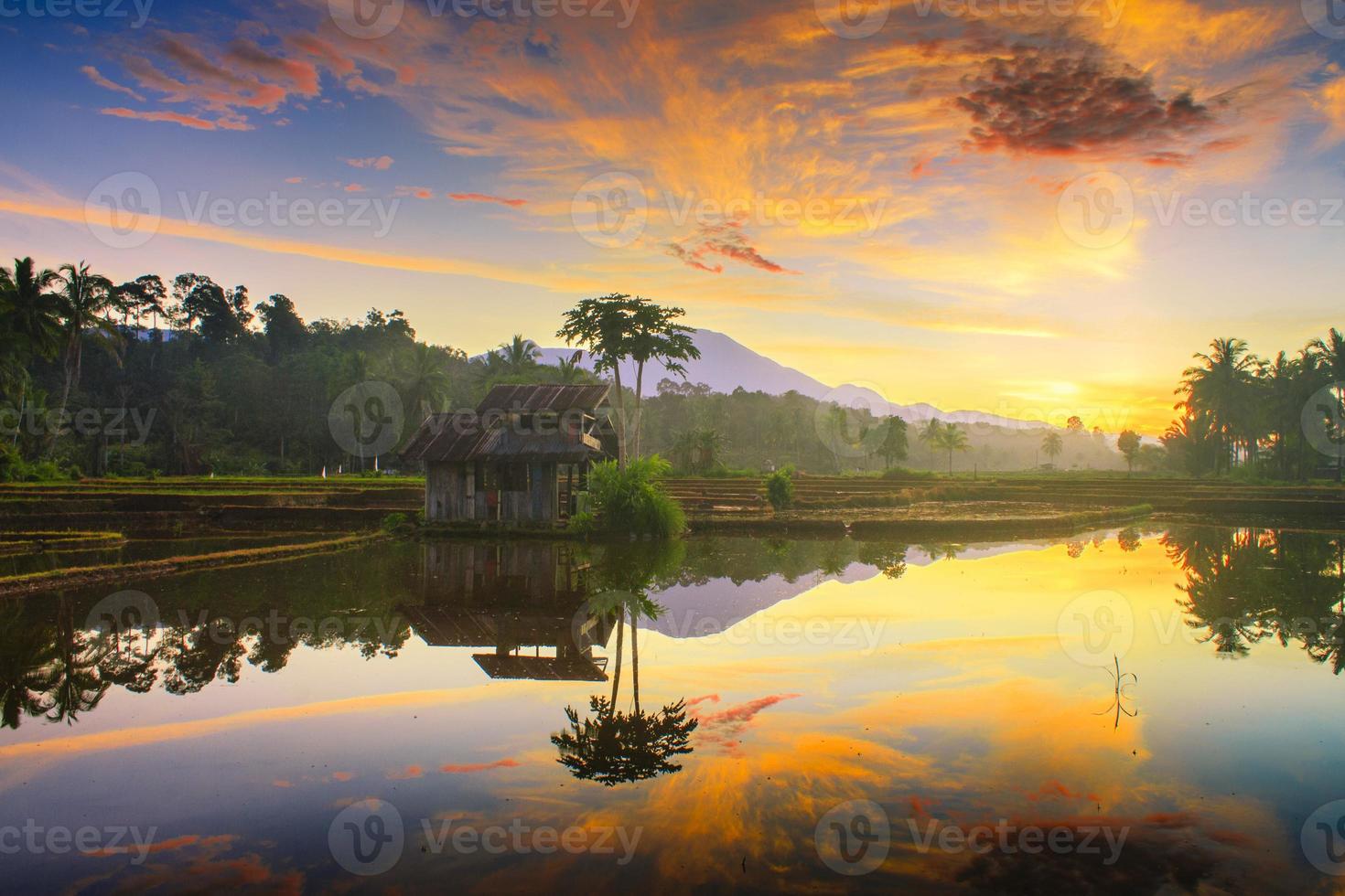 Beautiful morning view indonesia. Panorama Landscape paddy fields with beauty color and sky natural light photo