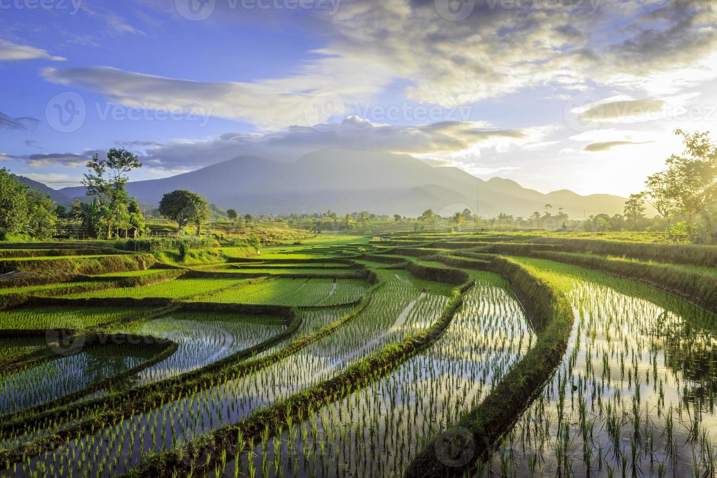 Beautiful morning view indonesia. Panorama Landscape paddy fields with beauty color and sky natural light photo
