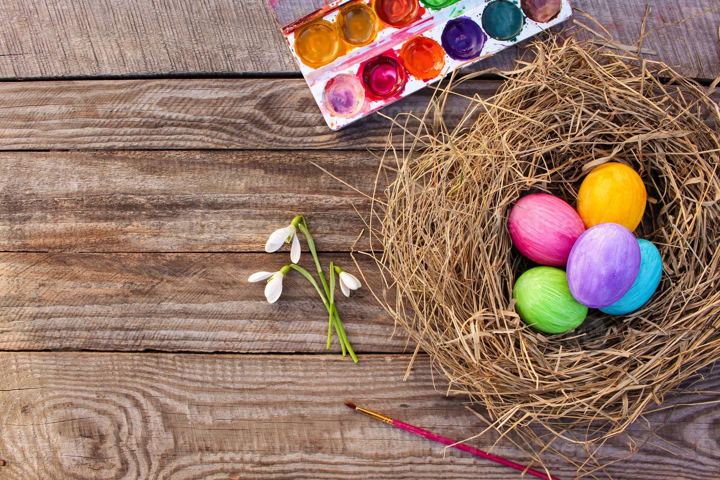 Easter eggs in nest. Top view. photo