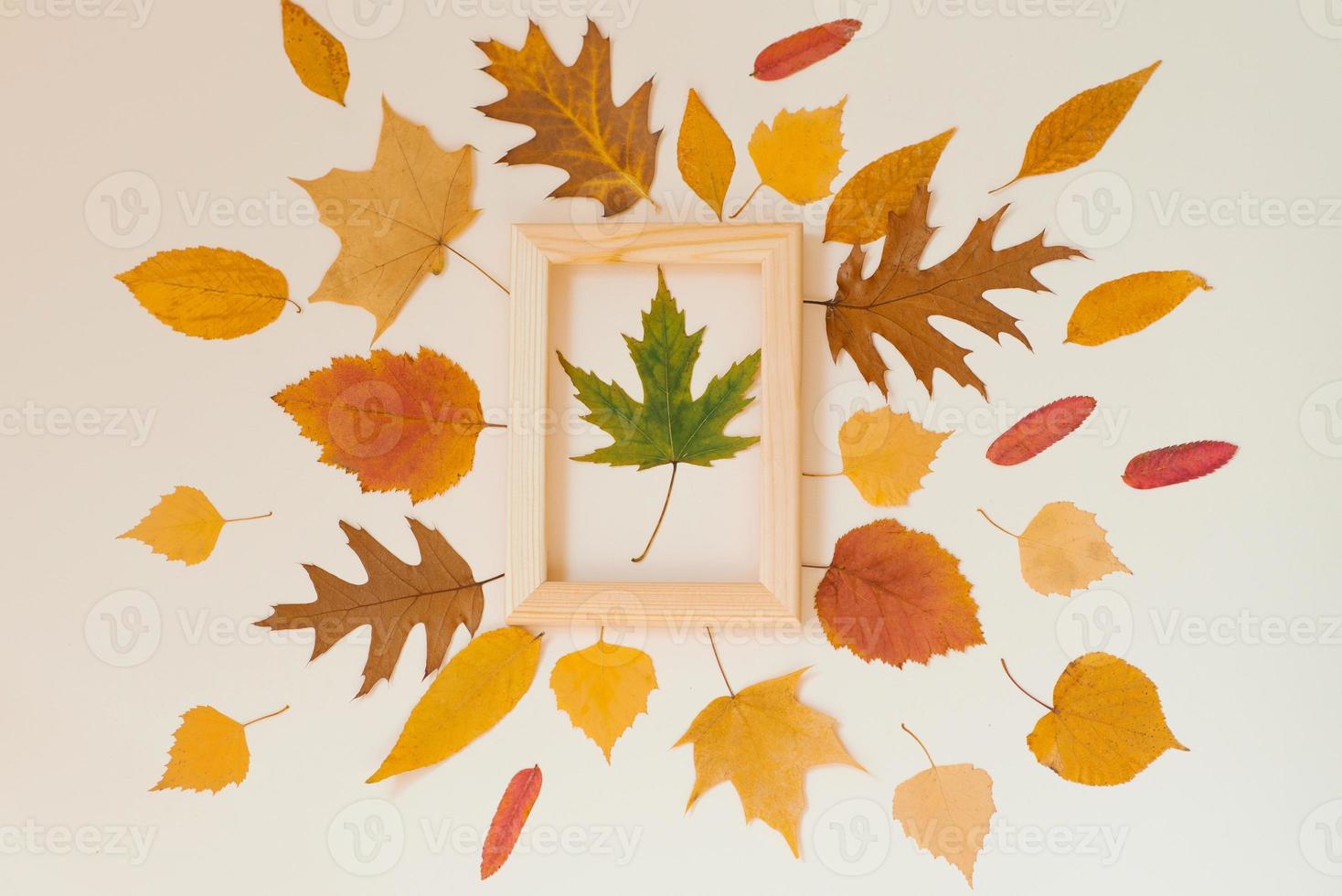 Green maple leaf in a wooden frame surrounded by yellow fallen leaves on a beige background. Autumn flac lay photo