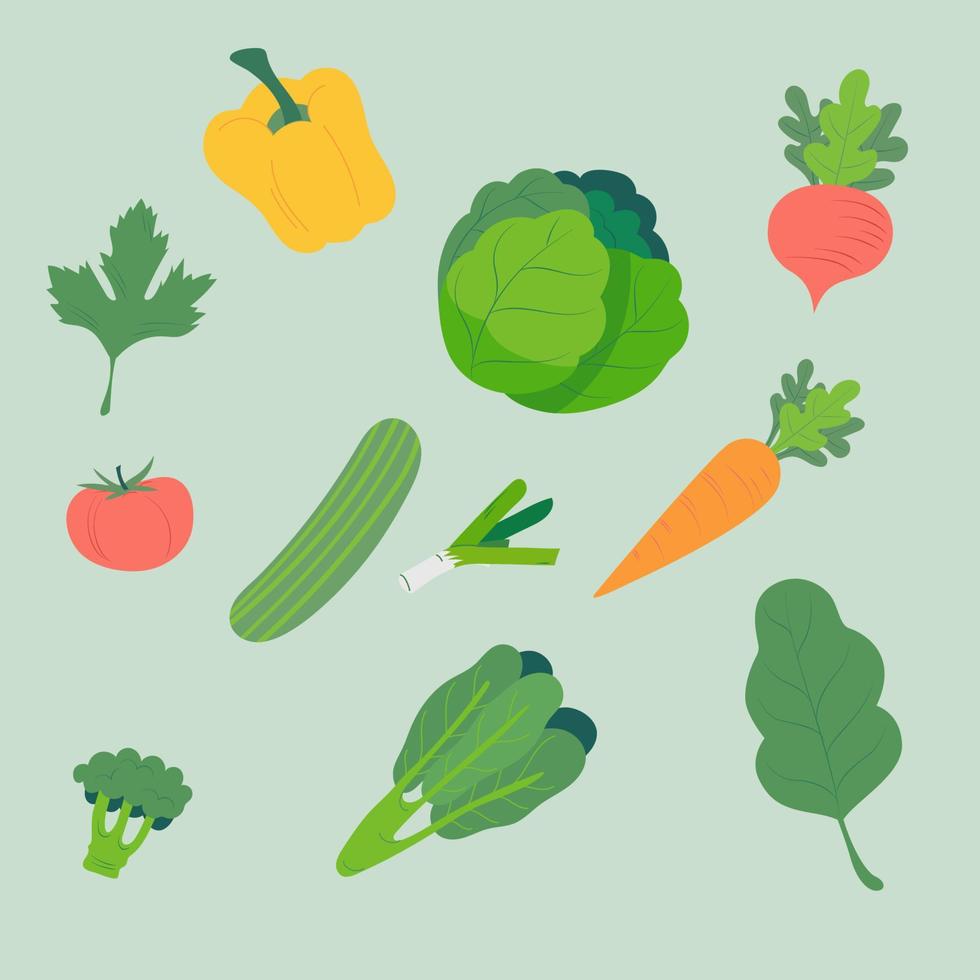 Various Kinds of Fresh Vegetables Illustration. Natural Healthy Diet Food Set Vector