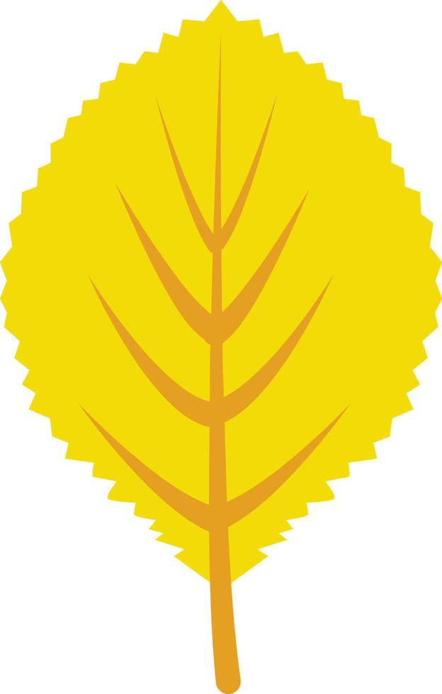 Autumn leaf. Autumn maple leaf isolated on a white background. Vector illustration.