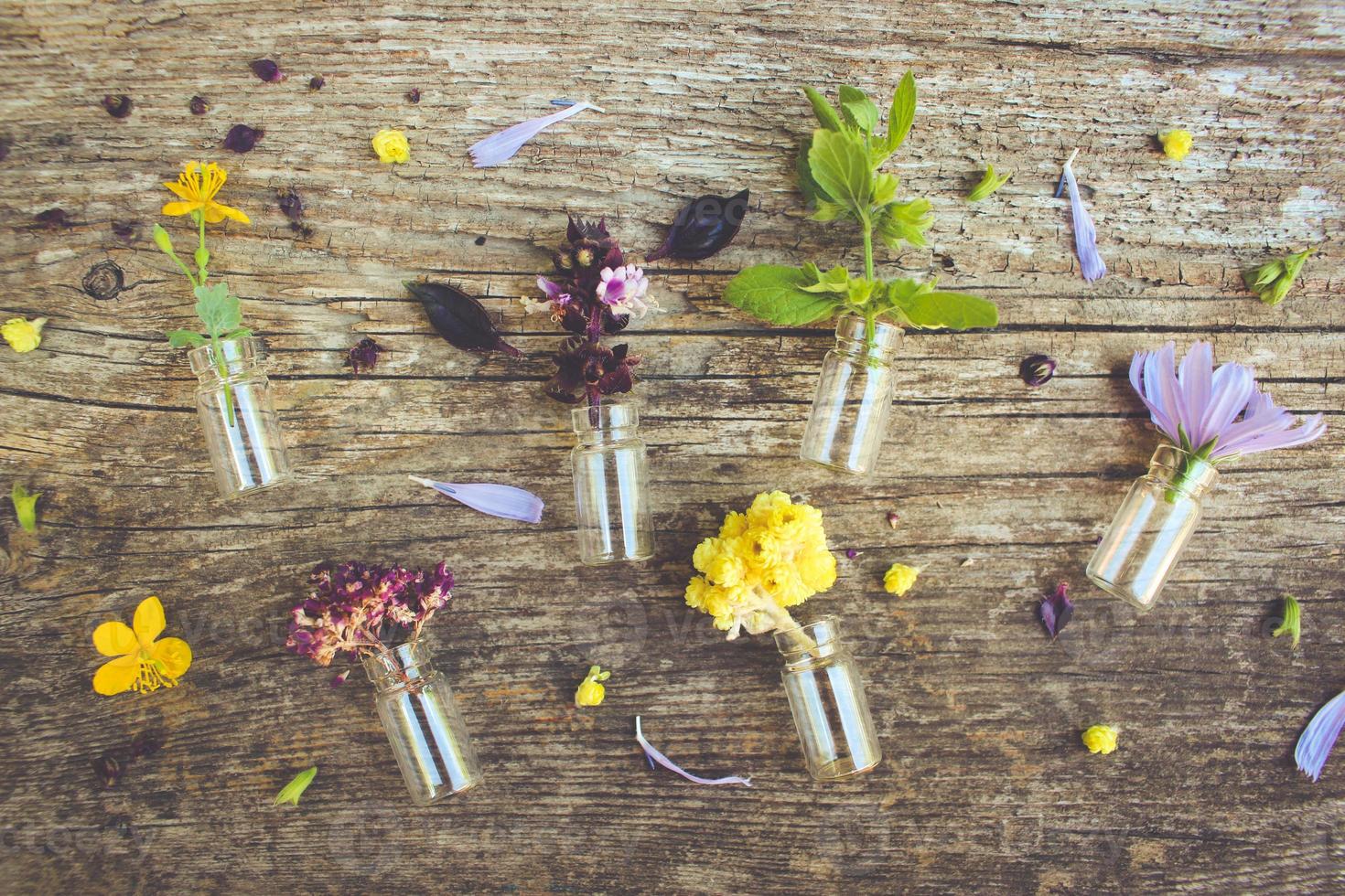 Healing herbs on wooden background. Top view. Toned image. photo