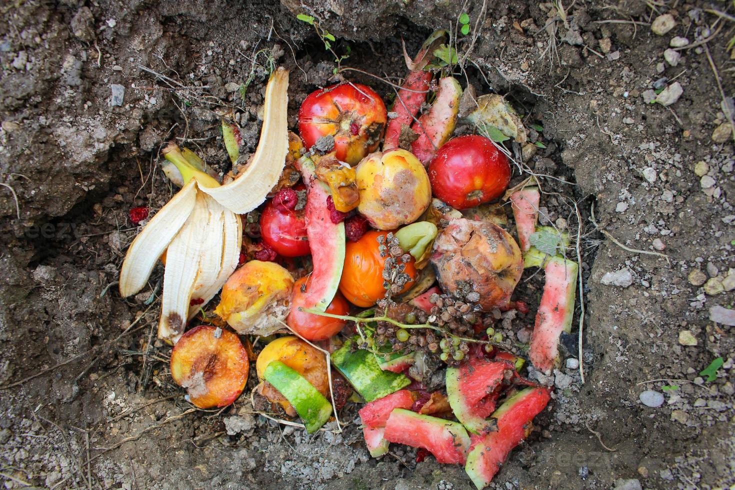 Doméstico residuos para compost desde frutas y vegetales en jardín. foto