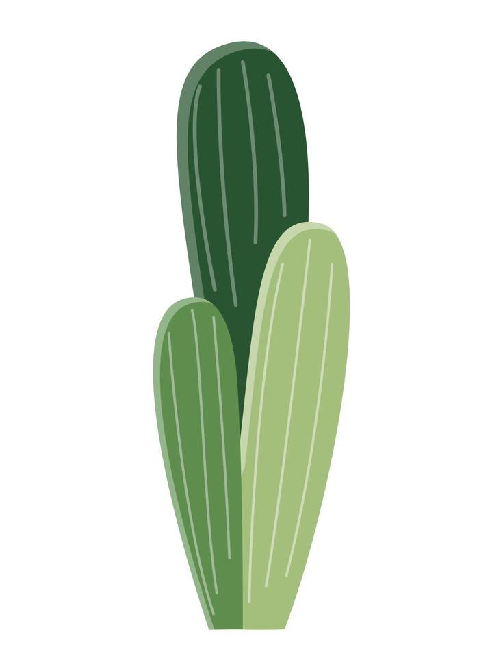 Cactus illustration in a flat style on a white background. Home plants cactus illustration. vector