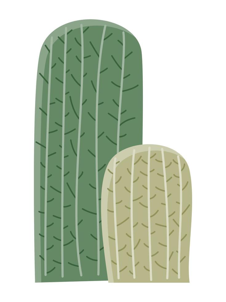 Cactus illustration in a flat style on a white background. Home plants cactus illustration. vector