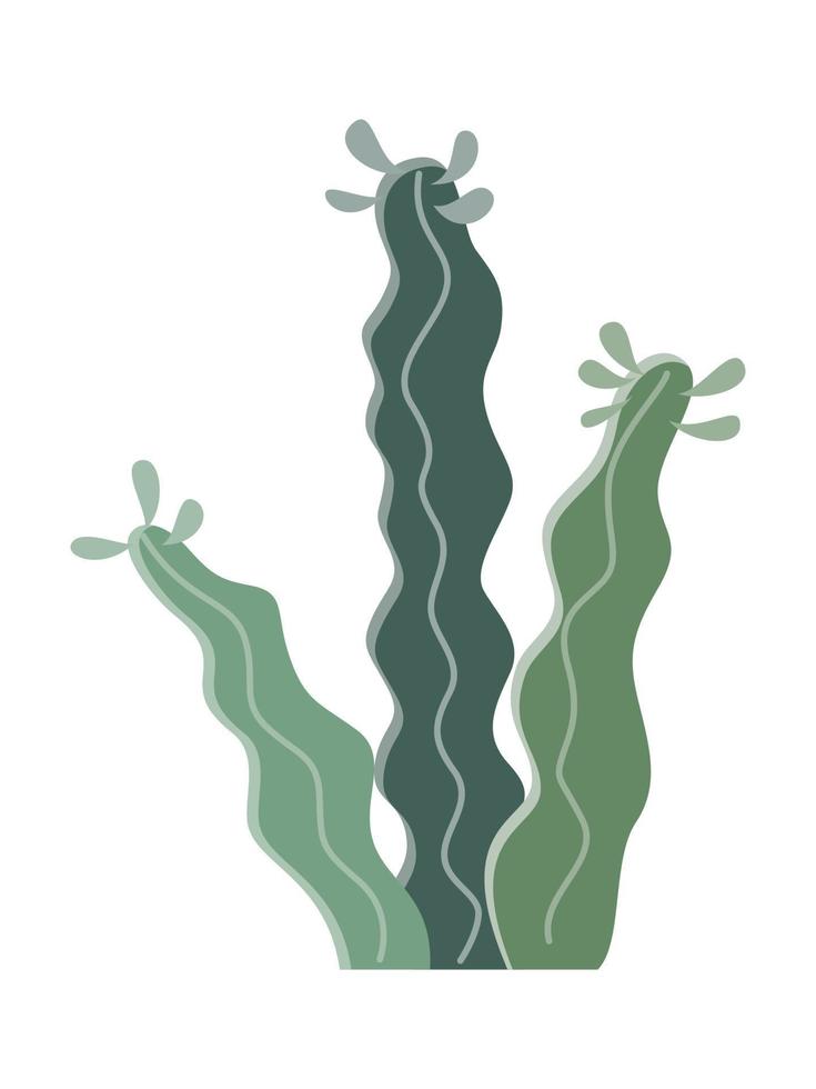 Cactus illustration in a flat style on a white background. Home plants cactus illustration. vector