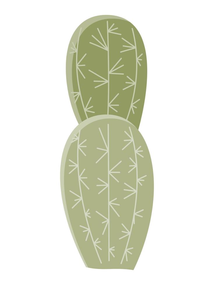 Cactus illustration in a flat style on a white background. Home plants cactus illustration. vector