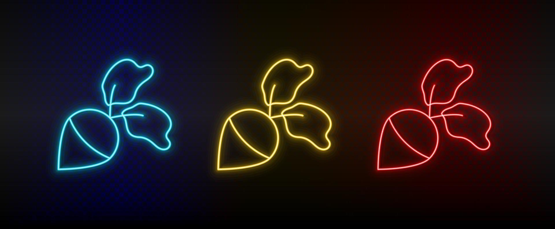 Neon icon set beetroot, turnip. Set of red, blue, yellow neon vector icon on dark background