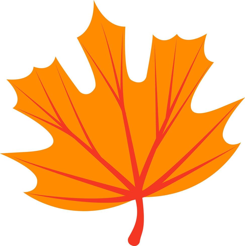 Autumn leaf. Autumn maple leaf isolated on a white background. Vector illustration.