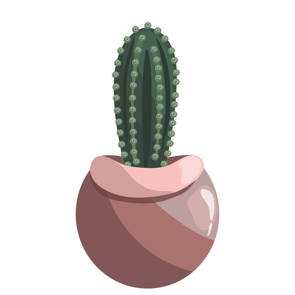 Green succulent cereus in ceramic pot on a white. Peruvian apple cactus, giant club cactus, hedge cactus, dama di anochi, kayush vector