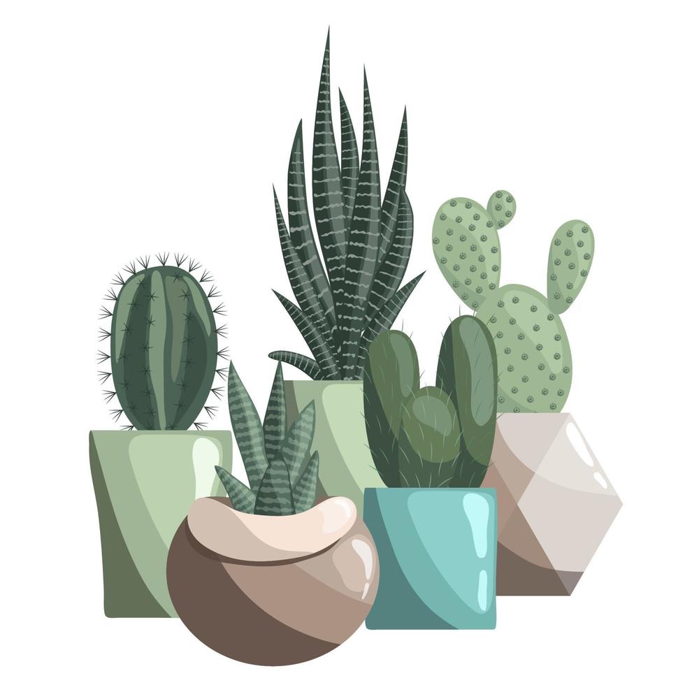 Five different cacti in ceramic pots. Succulents, prickly pear, opuntia, haworthia or zebra cactus, sansevieria vector