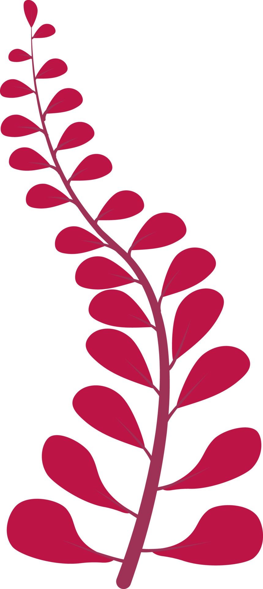 Abstract leaf. Vector design element. Leaf vector icon. 21562525 Vector