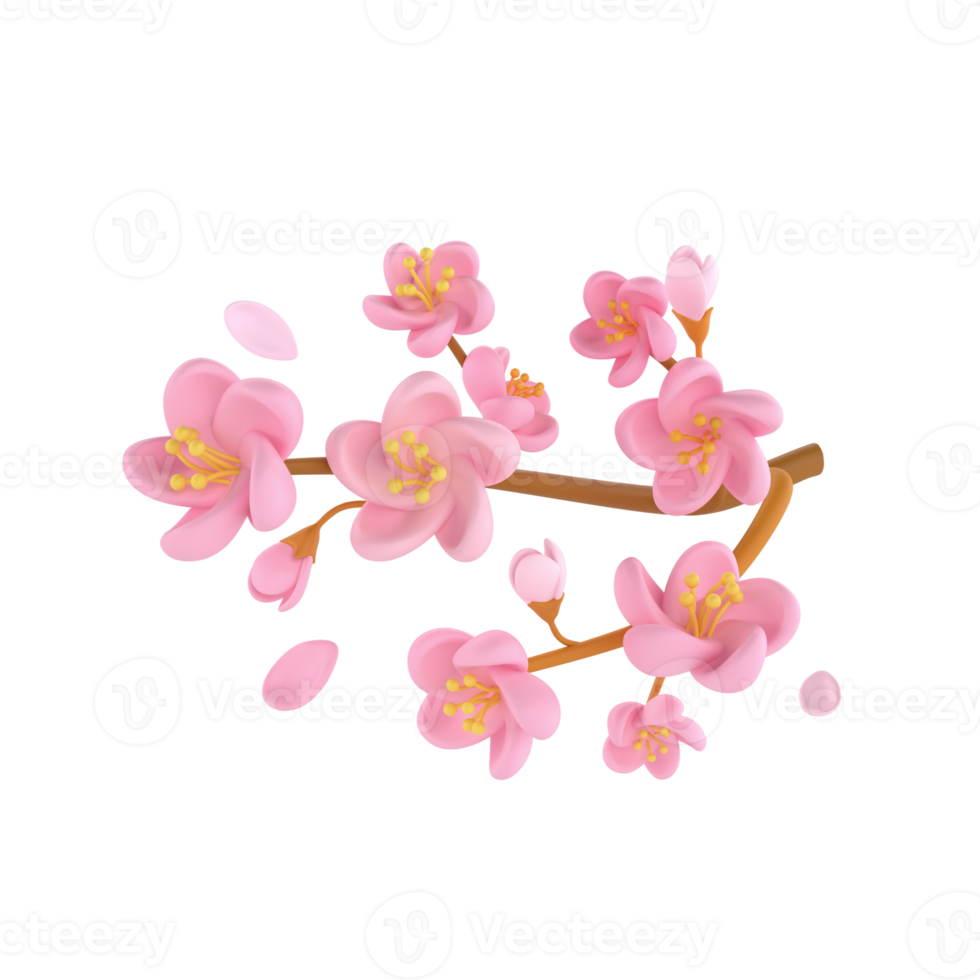 3D icon render spring Cherry Blossom Sakura branch illustration. Simple and cute petal isolated transparent png background