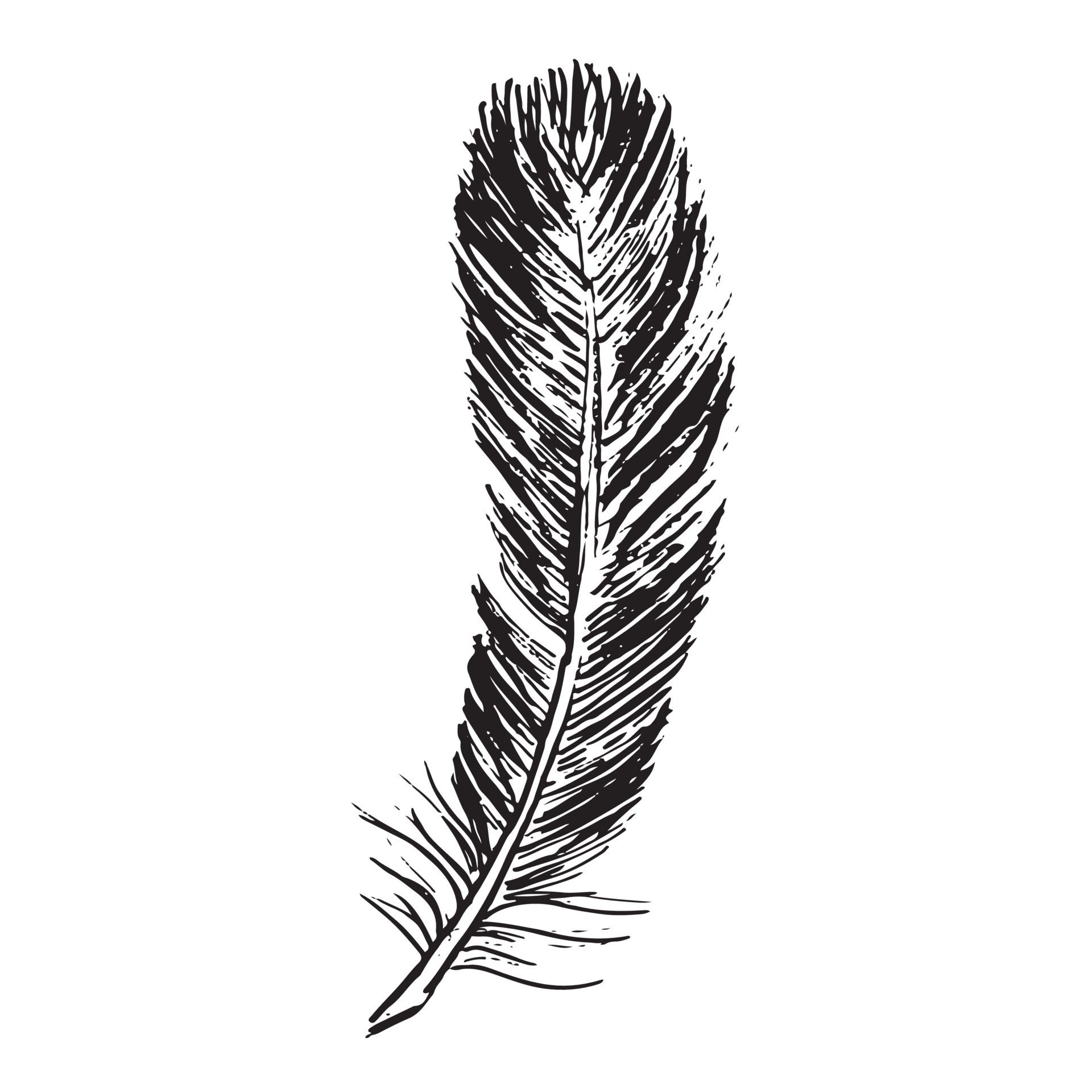 Feathers on white background. Hand drawn sketch style. 21564022 Vector ...