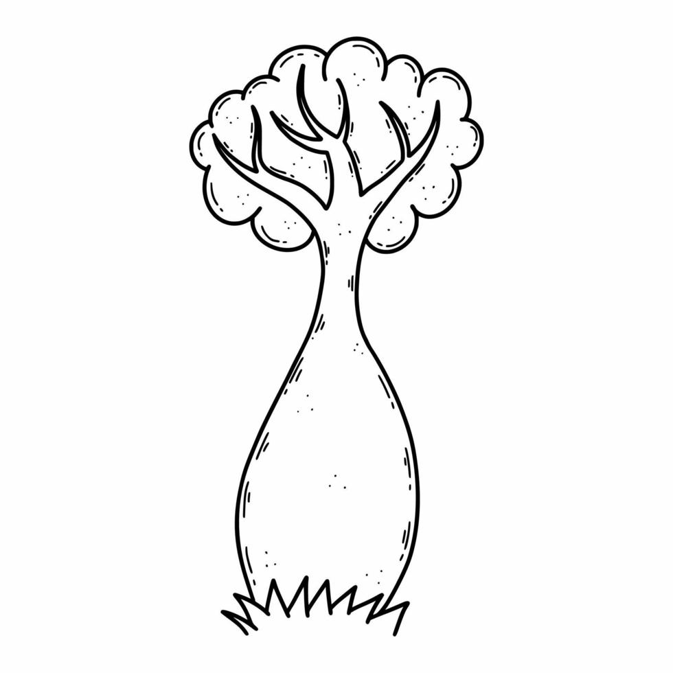An Australian tree. Vector doodle illustration. Sketch. Nature.