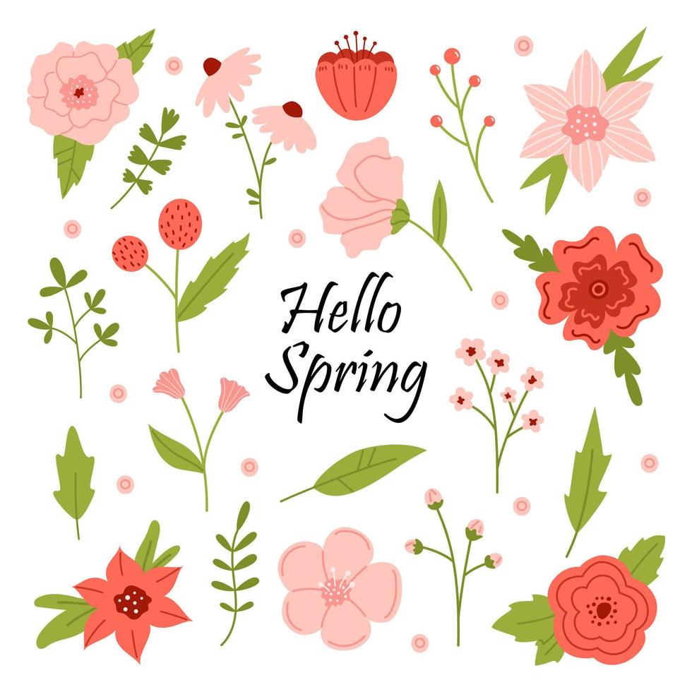 Vector set of flowers and leaves in red, pink and green colors. Botanical collection with text hello spring. Spring floral elements in flat design.