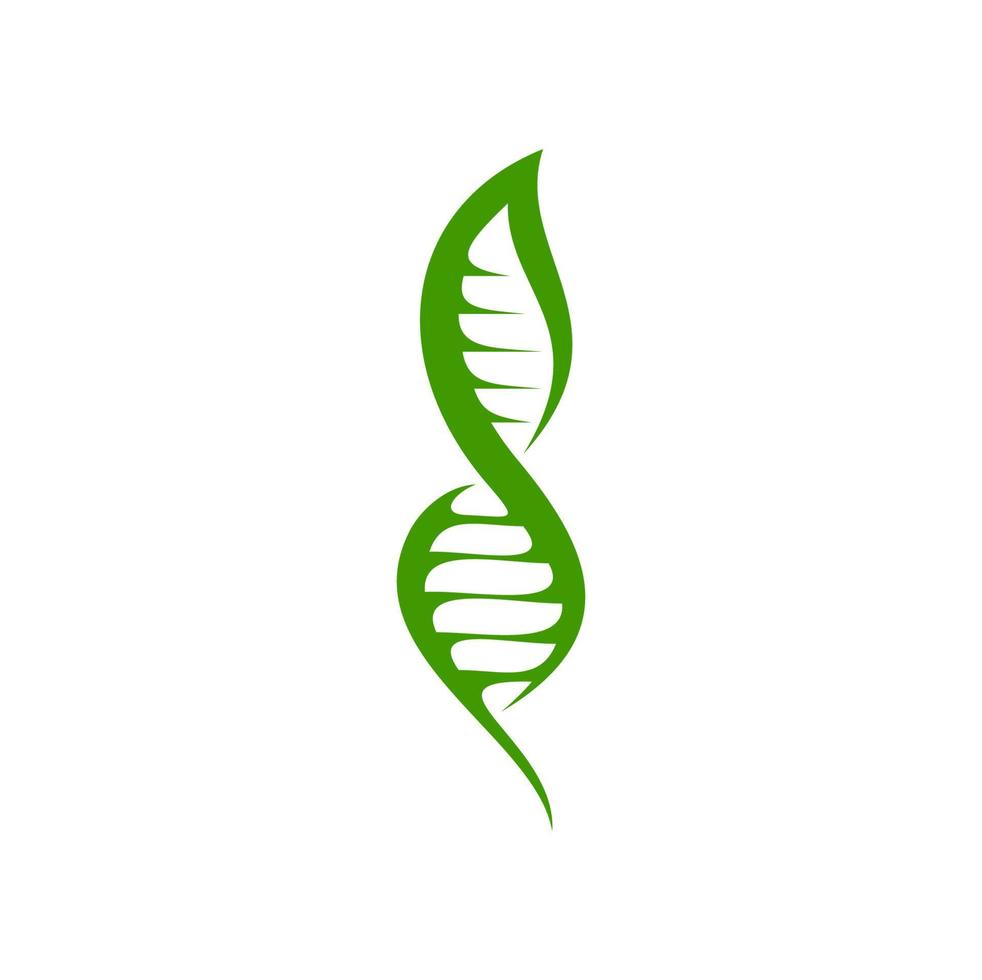 Leaf DNA icon of green plant in genetic helix vector