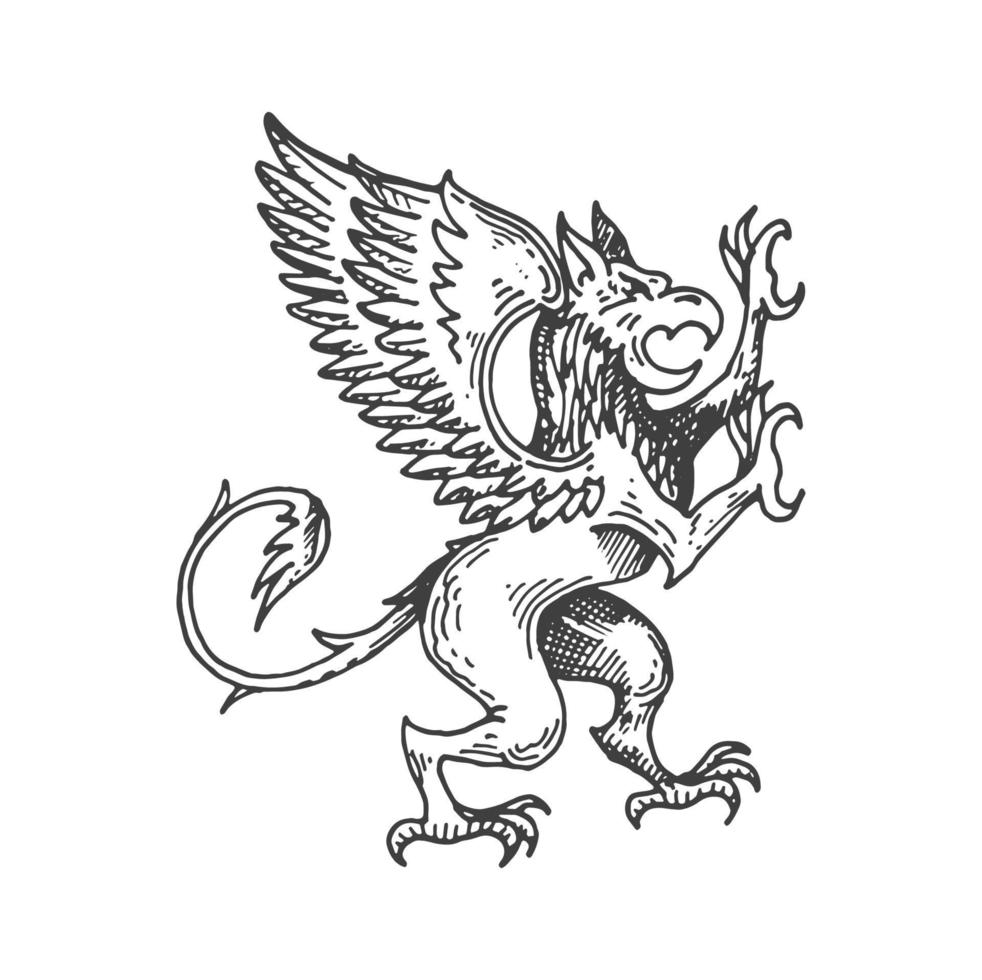 Griffin or gryphon medieval heraldic animal sketch vector