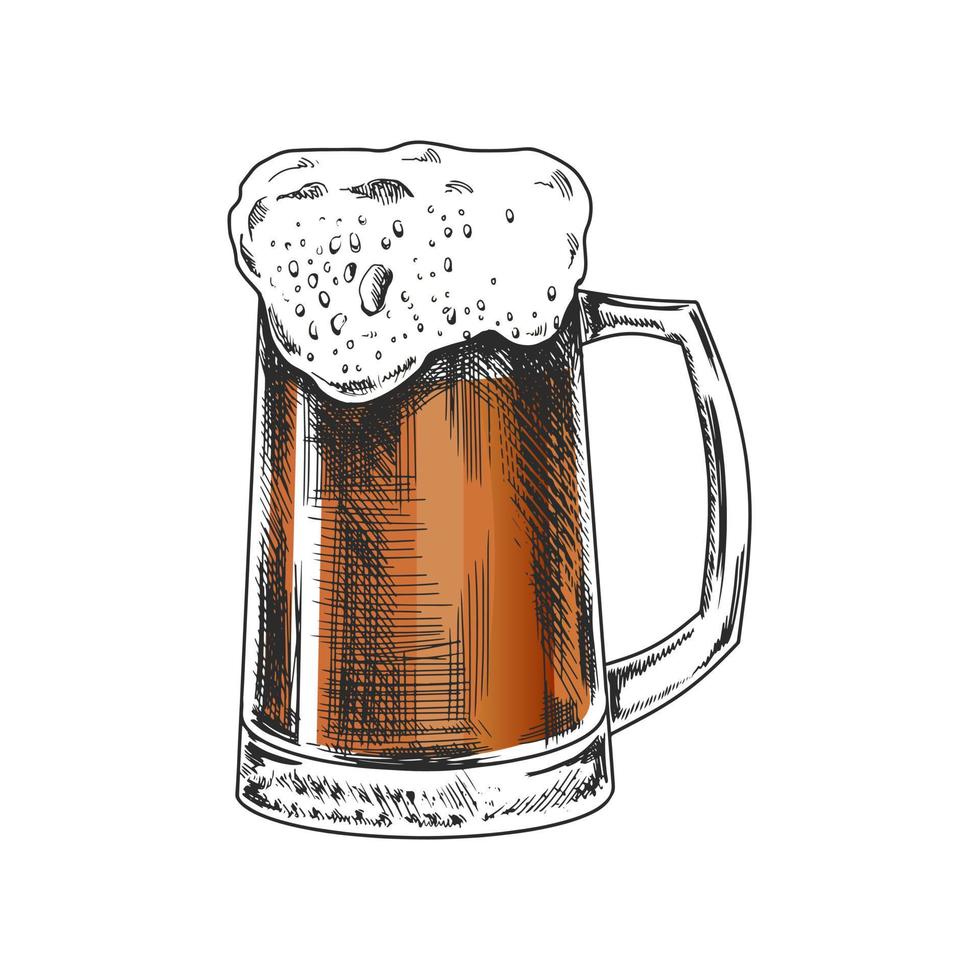 dibujado a mano bosquejo de cerveza jarra aislado en blanco antecedentes. vector Clásico grabado ilustración.